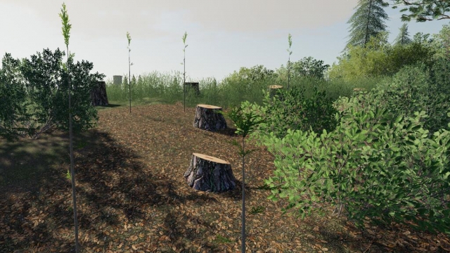FS19 Player Plant Trees v1.0.0 1